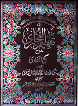 تفہیم البخاری شرح صحیح البخاری جلد یازدہم : Tafheem ul Bukhari Sharah Sahih ul Bukhari Vol 11